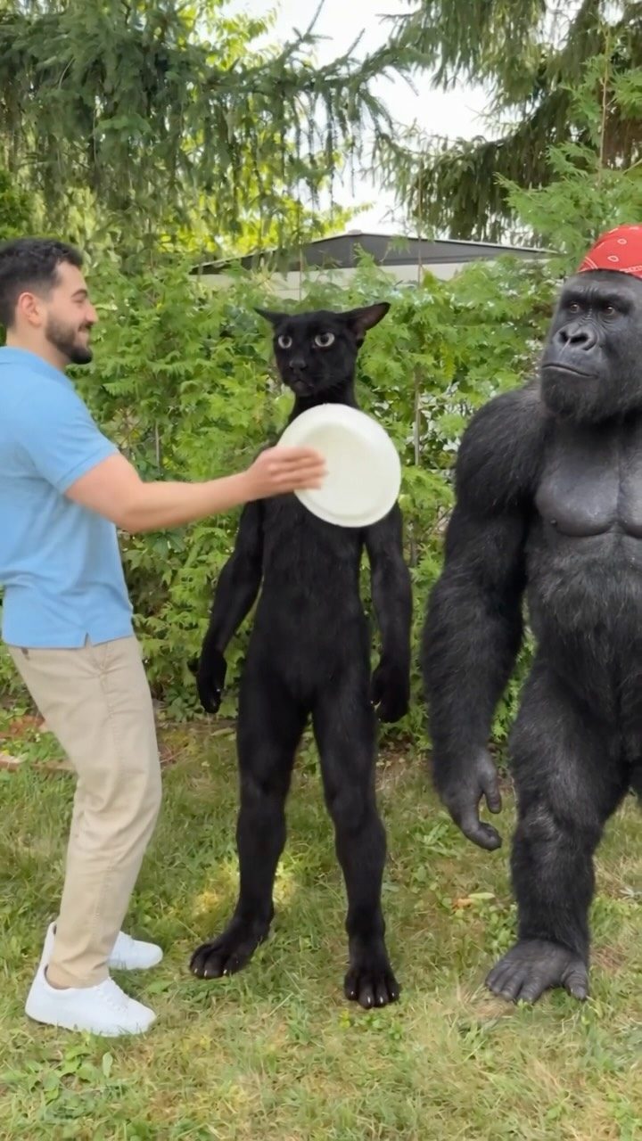 Cover of the @deni_nzt reel “larry”: Deni outdoors with a black cat character and a gorilla in a red bandana